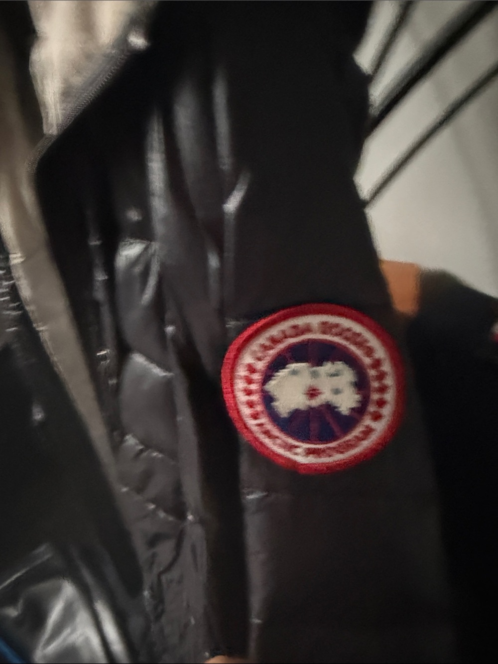 Canada Goose Black Quilted Hooded Puffer with Cream Lining - Picture 2 of 16